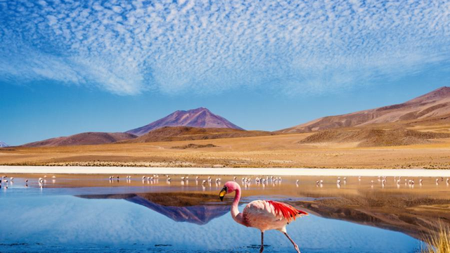 Unsere Reiseziele in Lateinamerika - América Special Tours