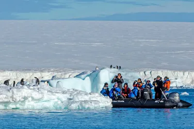 Zodiac Exkursion, Antarktis, Scenic Eclipse, Scenic Cruises Luxuskreuzfahrten