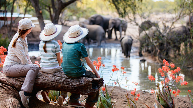Kundenstimmen Africa Royal Tours