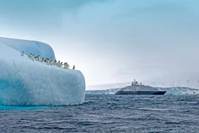 Antarktis, Scenic Eclipse, Scenic Cruises Luxuskreuzfahrten